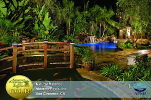 2011 APSP Gold Award