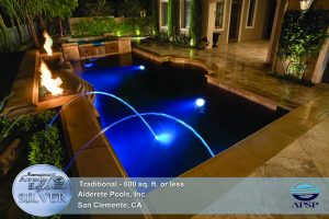 2011 APSP Silver Award
